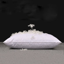 Load image into Gallery viewer, Goose Feather Down Sleeping Pillow Soft Bed Pillow for Sleeping with Cotton Shell Set of 2 Standard Size