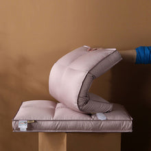 Load image into Gallery viewer, Lattice Goose Down Pillow