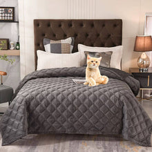 Load image into Gallery viewer, Luxury Velvet Quilt Set King Size, Lightweight Velvet Comforter Set 