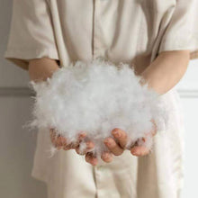 Load image into Gallery viewer, Super Soft Down Quilts , Lightweight Four Seasons Feather Duvet Filler