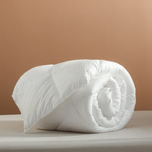 Load image into Gallery viewer, Super Soft Down Quilts , Lightweight Four Seasons Feather Duvet Filler