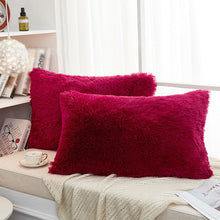 Load image into Gallery viewer, 2PCS Plush Shaggy Ultra Soft Pillow Cover