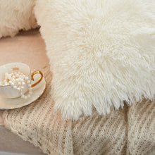 Load image into Gallery viewer, 2PCS Plush Shaggy Ultra Soft Pillow Cover
